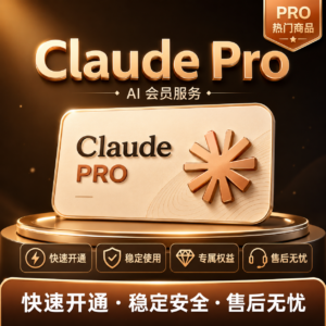 Claude Pro 订阅充值